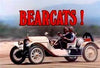 BEARCATS! – THE COMPLETE SERIES + PILOT MOVIE (CBS 1971) HARD TO FIND!!! EXCELLENT QUALITY!!! Rod Taylor, Dennis Cole