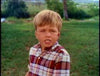 GENTLE BEN - THE COMPLETE SERIES + GENTLE GIANT MOVIE (CBS 1967-69) Dennis Weaver, Clint Howard, Beth Brickell, Rance Howard