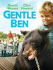 GENTLE BEN - THE COMPLETE SERIES + GENTLE GIANT MOVIE (CBS 1967-69) Dennis Weaver, Clint Howard, Beth Brickell, Rance Howard