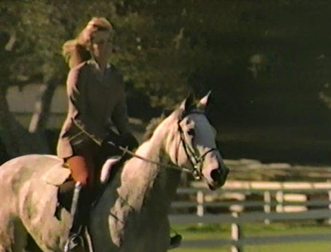INTRODUCTION TO HORSEBACK RIDING AND HORSE CARE WITH STEFANIE POWERS (1989) VERY RARE! Stefanie Powers