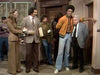 WELCOME BACK, KOTTER - THE COMPLETE SERIES (ABC 1975-1979) Gabe Kaplan, John Travolta, Robert Hegyes, Ron Palillo, Lawrence Hilton-Jacobs, Marcia Strassman, John Sylvester White