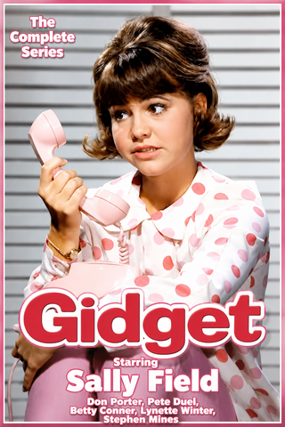 GIDGET - THE COMPLETE SERIES (ABC 1965-1966) EXCELLENT QUALITY!!! Sally Field, Don Porter, Pete Duel, Betty Conner, Lynette Winter, Stephen Mines