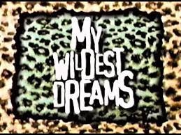 MY WILDEST DREAMS (FOX 1995) EXTREMELY RARE!!! Lisa Ann Walter, John Posey, Kelly Bishop, Mary Jo Keenan, J. Evan Bonifant