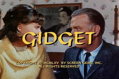 GIDGET - THE COMPLETE SERIES (ABC 1965-1966) EXCELLENT QUALITY!!! Sally Field, Don Porter, Pete Duel, Betty Conner, Lynette Winter, Stephen Mines