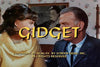 GIDGET - THE COMPLETE SERIES (ABC 1965-1966) EXCELLENT QUALITY!!! Sally Field, Don Porter, Pete Duel, Betty Conner, Lynette Winter, Stephen Mines