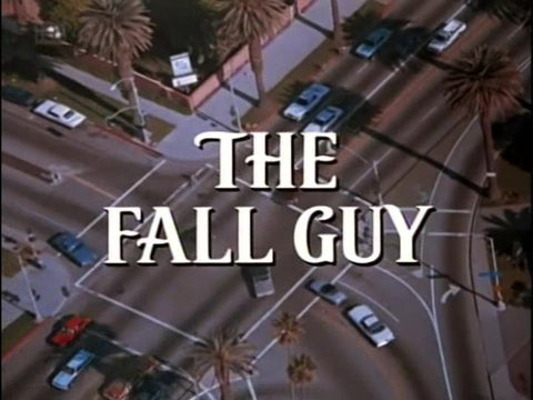 FALL GUY, THE - COLLECTION (ABC 1981-86) VERY RARE!!! Lee Majors, Douglas Barr, Heather Thomas, Jo Ann Pflug, Markie Post, Nedra Volz, Robert Donner