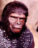 PLANET OF THE APES - THE COMPLETE TV SERIES (CBS 1974) RETAIL QUALITY!!! Ron Harper, James Naughton, Roddy McDowall, Mark Lenard, Booth Colman