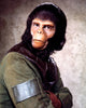 PLANET OF THE APES - THE COMPLETE TV SERIES (CBS 1974) RETAIL QUALITY!!! Ron Harper, James Naughton, Roddy McDowall, Mark Lenard, Booth Colman