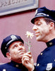 CAR 54, WHERE ARE YOU? – THE COMPLETE SERIES (NBC 1961-1963) HARD TO FIND!!! EXCELLENT QUALITY!!! Fred Gwynne, Joe E. Ross, Al Lewis, Beatrice Pons, Charlotte Rae