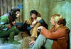 PLANET OF THE APES - THE COMPLETE TV SERIES (CBS 1974) RETAIL QUALITY!!! Ron Harper, James Naughton, Roddy McDowall, Mark Lenard, Booth Colman