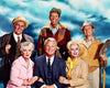 GREEN ACRES - THE COMPLETE SERIES + BONUS MOVIE & EXTRAS!!! (CBS 1965-1971) RETAIL QUALITY!!! Eddie Albert, Eva Gabor, Pat Buttram, Tom Lester, Frank Cady, Alvy Moore, Mary Grace Canfield, Sid Melton, Hank Patterson