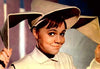 THE FLYING NUN – THE COMPLETE SERIES (ABC 1967-70) RARE! Sally Field, Madelaine Sherwood, Alejandro Rey, Marge Redmond, Shelley Morrison
