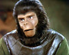 PLANET OF THE APES - THE COMPLETE TV SERIES (CBS 1974) RETAIL QUALITY!!! Ron Harper, James Naughton, Roddy McDowall, Mark Lenard, Booth Colman