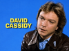 DAVID CASSIDY - MAN UNDER COVER - THE COMPLETE SERIES + BONUS PILOT EPISODE (NBC 1978-79) UPGRADED SET!!! David Cassidy, Simon Oakland, Wendy Rastatter