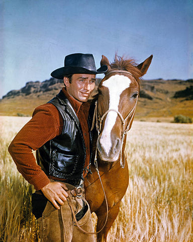 VIRGINIAN, THE/THE MEN FROM SHILOH – THE COMPLETE SERIES (NBC 1962-1971) RETAIL QUALITY!!! James Drury, Lee J. Cobb, Doug McClure, Lee Majors, John McIntire, Stewart Granger, Gary Clark, Jeanette Nolan, David Hartman, Roberta Shore, Randy Boone, Don Quine