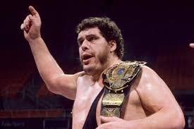 ANDRÉ THE GIANT WRESTLING CAREER 15-DVD SET – Rewatch Classic TV