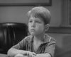 ANDY GRIFFITH SHOW, THE - THE COMPLETE SERIES (CBS 1960-68) Andy Griffith, Don Knotts, Ron Howard, Frances Bavier, Howard McNear, George Lindsey, Jim Nabors, Aneta Corsaut, Hal Smith