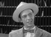 ANDY GRIFFITH SHOW, THE - THE COMPLETE SERIES (CBS 1960-68) Andy Griffith, Don Knotts, Ron Howard, Frances Bavier, Howard McNear, George Lindsey, Jim Nabors, Aneta Corsaut, Hal Smith