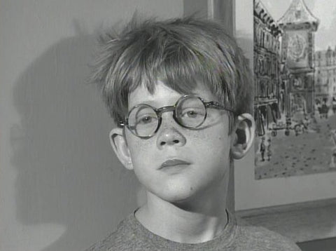 Ronny Howard guest starred in the episode 