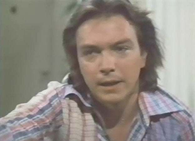 DAVID CASSIDY - MAN UNDER COVER - THE COMPLETE SERIES + BONUS PILOT EP ...