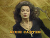 FILTHY RICH - THE COMPLETE SERIES (CBS 1982-83) RARE! Dixie Carter, Delta Burke, Ann Wedgeworth, Nedra Volz, Charles Frank, Michael Lombard, Slim Pickens, Forrest Tucker, Vernon Weddle