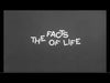 FACTS OF LIFE, THE (1960) - Rewatch Classic TV - 2