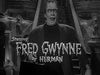 FRED GWYNNE COMPILATION - Rewatch Classic TV - 4