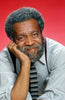 GRADY - THE COMPLETE SERIES + BONUS (NBC 1975-1976) STUDIO QUALITY!!! Whitman Mayo, Haywood Nelson, Carol Cole, Joe Morton, Rosanne Katon