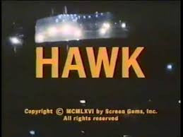 HAWK - 1966 NBC crime drama starring Burt Reynolds. Available on DVD-R from RewatchClassicTV.com