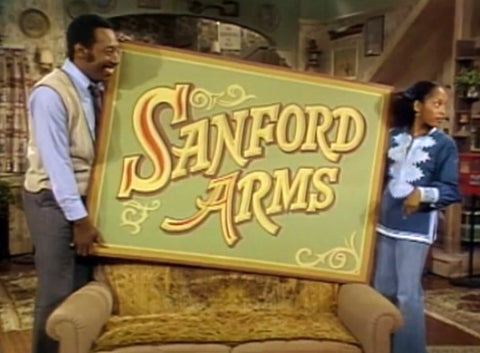 SANFORD ARMS (NBC 1977) COMPLETE SERIES - RARE!