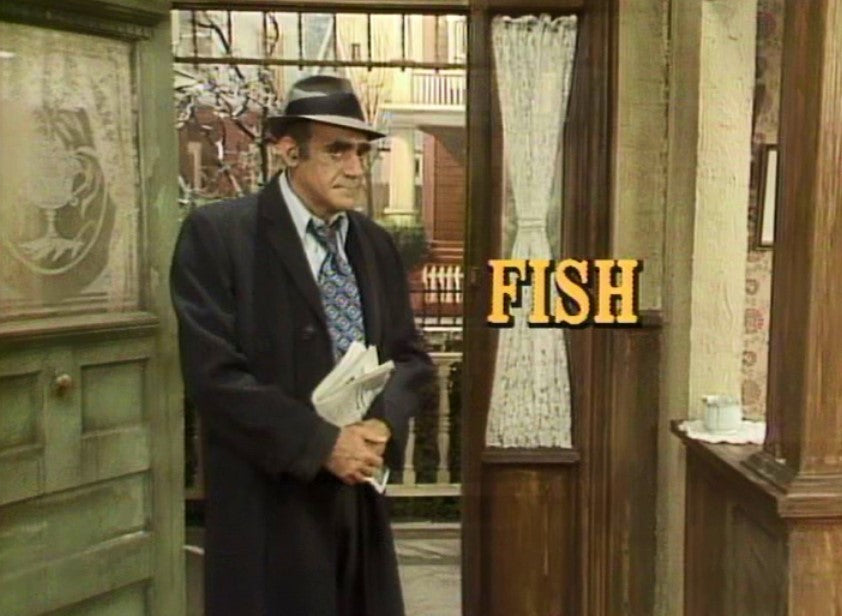 FISH - THE COMPLETE SERIES (ABC 1977-78) ABE VIGODA / TODD BRIDGES – RARE!