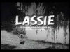 LASSIE UNLEASHED: 280 DOG YEARS IN TV + BONUS (ABC 12/29/94) RARE!