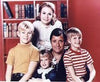 NANNY AND THE PROFESSOR - THE COMPLETE SERIES (ABC 1970-1972) Juliet Mills, Richard Long, David Doremus, Trent Lehman, Kim Richards