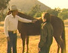 INTRODUCTION TO HORSEBACK RIDING AND HORSE CARE WITH STEFANIE POWERS (1989) RARE!