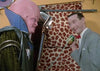 PEE-WEE’S PLAYHOUSE - THE COMPLETE SERIES (CBS 1986-91) Paul Reubens, Phil Hartman, Laurence Fishburne