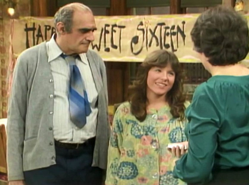 FISH - THE COMPLETE SERIES (ABC 1977-78) RETAIL QUALITY!!! RARE!!! Abe ...