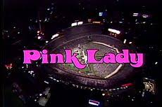 PINK LADY AND JEFF - THE COMPLETE SERIES (NBC 1980) - RARE