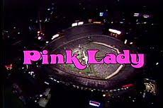 PINK LADY AND JEFF (NBC 1980) - HARD TO FIND