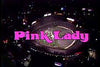PINK LADY AND JEFF - THE COMPLETE SERIES (NBC 1980) - RARE!!! HARD TO FIND!!! Mitsuyo Nemoto ("Mie"), Keiko Masuda ("Kei"), Jeff Altman, Jim Varney
