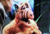 PROJECT: ALF (ABC-TVM, 2/17/96) - Rewatch Classic TV - 10