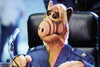 PROJECT: ALF (ABC-TVM, 2/17/96) - Rewatch Classic TV - 11