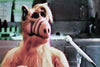 PROJECT: ALF (ABC-TVM, 2/17/96) - Rewatch Classic TV - 2