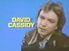 DAVID CASSIDY - MAN UNDER COVER - THE COMPLETE SERIES + BONUS PILOT EPISODE (NBC 1978-79) UPGRADED SET!!! David Cassidy, Simon Oakland, Wendy Rastatter