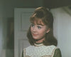 TAMMY - THE COMPLETE SERIES (ABC 1965-66) VERY RARE!!! Debbie Watson, Denver Pyle, Frank McGrath, Dorothy Green, Dennis Robertson , Donald Woods, George Furth, David Macklin, Linda Marshall