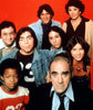 FISH - THE COMPLETE SERIES (ABC 1977-78) RETAIL QUALITY!!! RARE!!! Abe Vigoda, Florence Stanley, Todd Bridges, Lenny Bari, John Cassisi, Sarah Natoli, Barry Gordon, Denise Miller