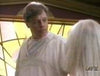 MARK HAMILL VOL 7: SON OF THE BEACH