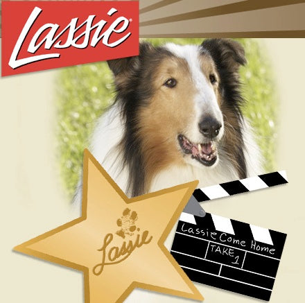 LASSIE UNLEASHED: 280 DOG YEARS IN TV + BONUS (ABC 12/29/94) RARE!