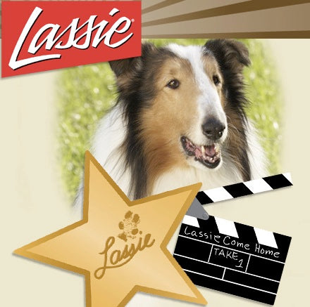 LASSIE UNLEASHED: 280 DOG YEARS IN TV + BONUS (ABC 12/29/94) VERY RARE!!! June Lockhart, Jon Provost, Tommy Rettig, Hugh Reilly, Joey D. Vieira, Henry Winkler, Dick Clark, Phyllis Diller, Dennis Franz, Charles Grodin, Dave Thomas, Barry Williams