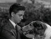 LASSIE UNLEASHED: 280 DOG YEARS IN TV + BONUS (ABC 12/29/94) RARE!